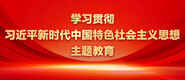 看黄色片日逼逼学习贯彻习近平新时代中国特色社会主义思想主题教育_fororder_ad-371X160(2)